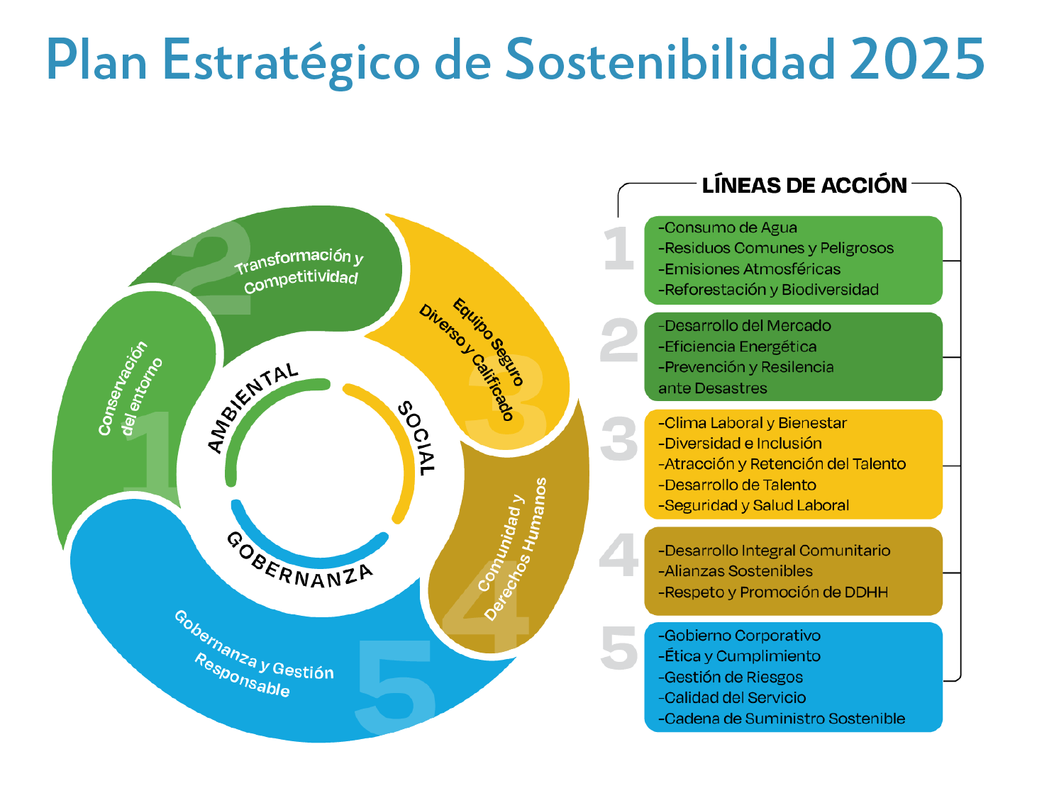 Principios y Estrategia
